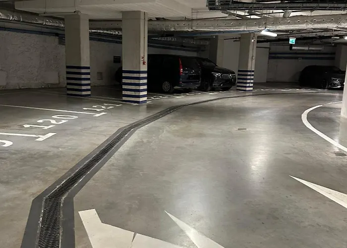 Absyntapart Biskupia *